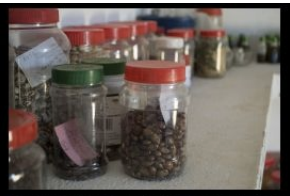 SD Native Seed Bank