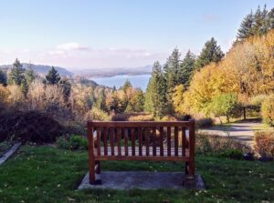Menucha Bench Looking West by Rachman Cantrell