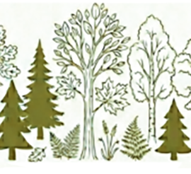 Protected: PNW REGIONAL CONGRESS 2026 Protected: PNW REGIONAL CONGRESS 2026